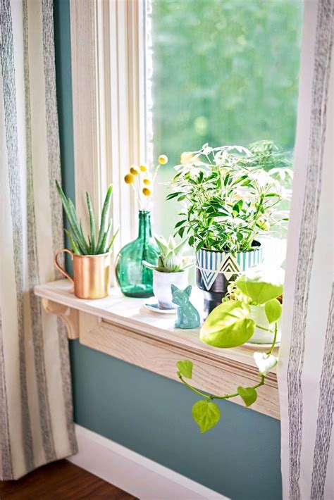 ideas  decorating window sills decoomo