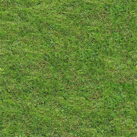 Download Texture Seamless Texture Of Grass For 3d Max