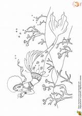 Coloriage Sirene Hugolescargot Stress Anti Depuis Enregistrée Afrique Sirènes sketch template
