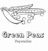 Peas Coloring Pages Green Vegetable Girls sketch template
