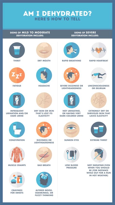 The Fix S Graphic Shows What Happens To Your Body When You Re