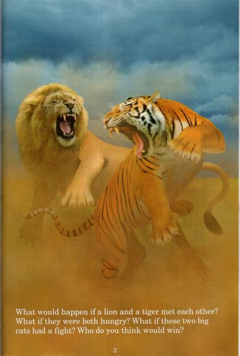 lion  tiger   win
