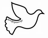 Dove Outline Peace Clipart Drawing Template Descending Printable Stencil Pattern Doves Patterns Christmas Clip Print Templates Religious Flying Stencils Sketch sketch template