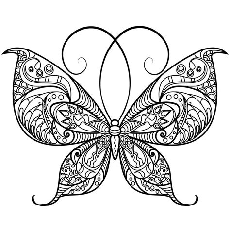 pin  butterfly coloring pages