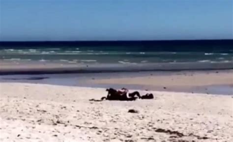 Shocking Video Shows Couple Having Sex At Adelaide Beach