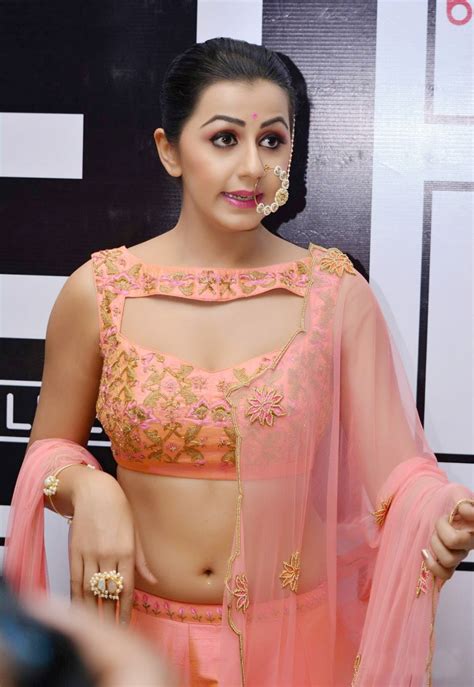 Beautiful Hot Actress Nikki Galrani Motta Siva Ketta Siva