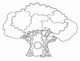 Coloring Roots Getdrawings Tree Pages sketch template