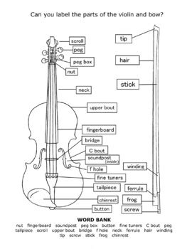 parts   violin package  strings  tpt