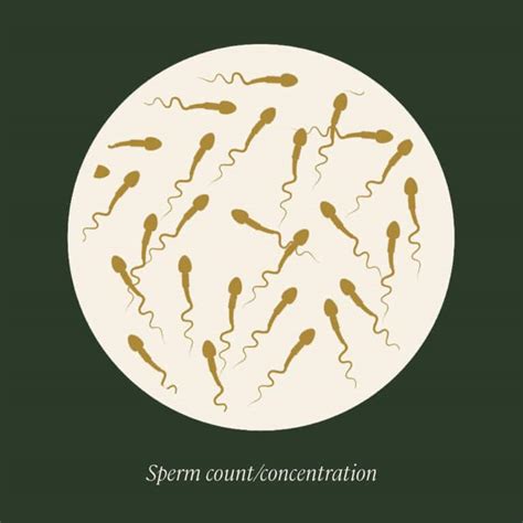 guide to sperm improvement and increased sperm motility legacy