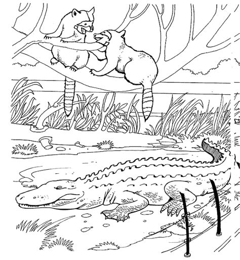zoo coloring pages coloring kids