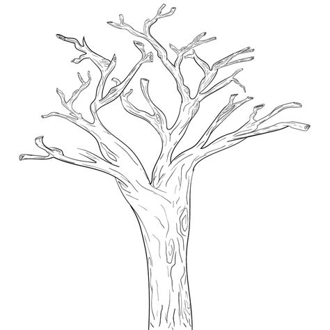 printable trees  branches