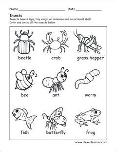wonderful bug preschool worksheets standing   nursery