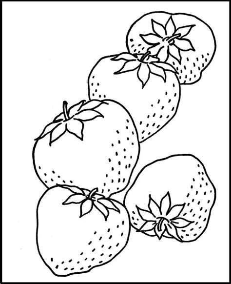 chosen illustrations  strawberry coloring pages disegni