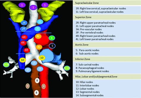 Mediastinal Lymph Node Detection And Station Mapping On Chest Ct Using