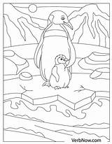 Penguins Verbnow sketch template