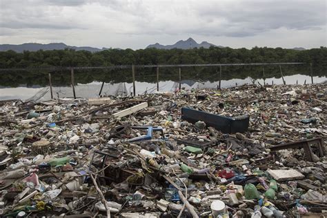 rio 2016 sailing water venues still full of sewage rubbish and dead