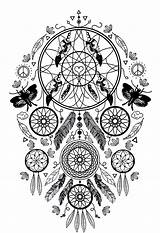 Catcher Dreamcatcher Attrape Reve Sogni Complexe Adulti Acchiappasogni Cacciatore Justcolor Papillons Plumes Erwachsene Dreamcatchers Adultos Catchers Feather Campagna Rêves Traumfanger sketch template