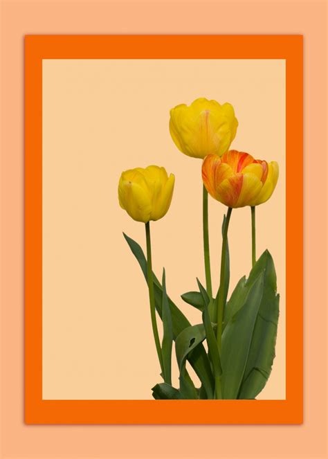 flowers card template  stock photo public domain pictures
