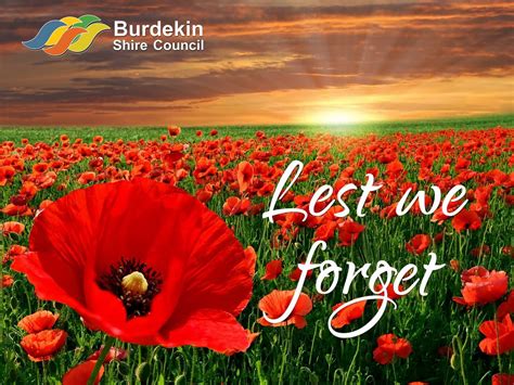 Image Result For Anzac Poppy Poppies Red Poppies Country Wall Art