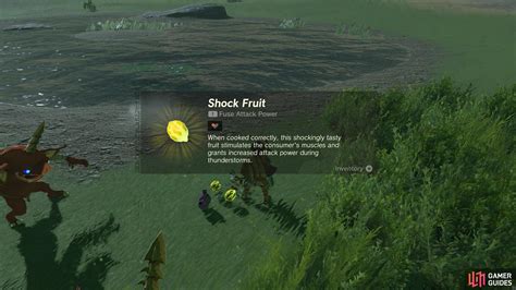 shock fruit  legend  zelda tears   kingdom
