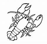 Lobster Coloring Cute Drawing Book Getdrawings Coloringcrew sketch template