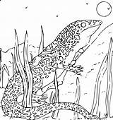 Gecko Monitor Coloring Book Onlinelabels Clip sketch template