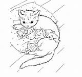 Gata Filhotes Cats Desenho Tudodesenhos sketch template