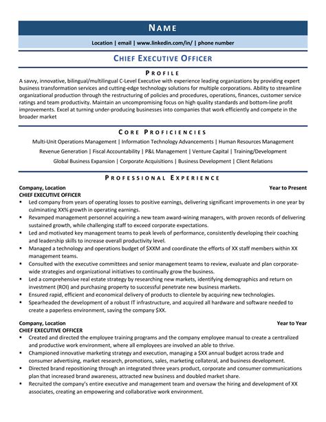 chief executive officer ceo resume  template   zipjob