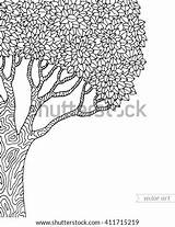 Tree Coloring Artwork Big Vector Leaves Botany Isolated Detailed Forest Book Old Trunk Bark Shutterstock Footage Vectors Illustrations Music Search sketch template