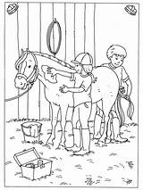 Kleurplaat Kleurplaten Paarden Paard Equitation Manege Veulen Paardenpraattv Springen Boerderij Dressuur Horses Verzorgen Poney Knutselen sketch template
