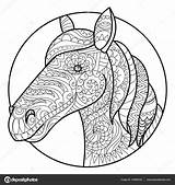 Cavalli Carrozza Vettoriali Cavallo sketch template