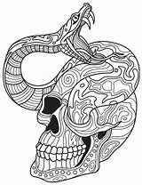 Coloring Skulls sketch template