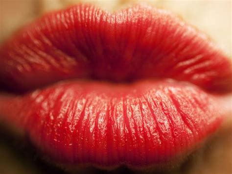 why is kissing so fun the science behind locking lips love and sex