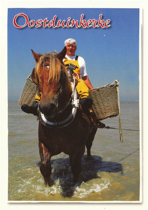 johan postcards vlaanderen oostduinkerke garnaalvissers te paard