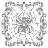 Zentangle Spinne Farbtonseite Kleurende Pagina Geeksvgs Istockphoto sketch template