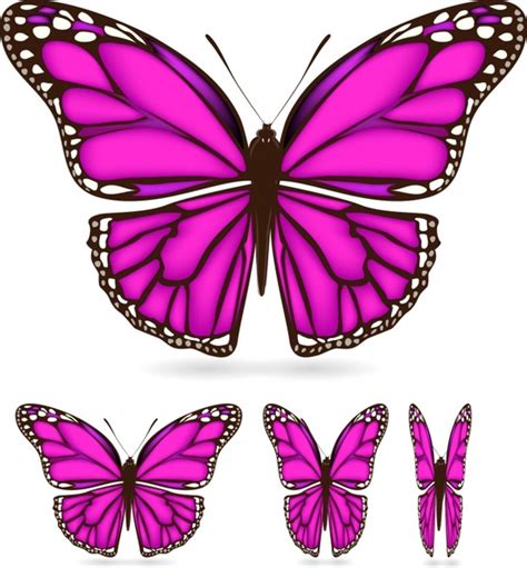 butterfly wings vector  vector  encapsulated postscript eps