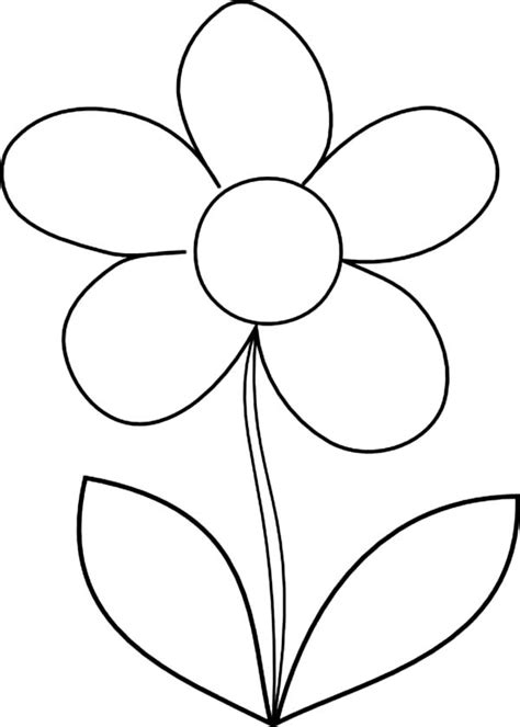 draw daisy flower coloring page   draw daisy flower