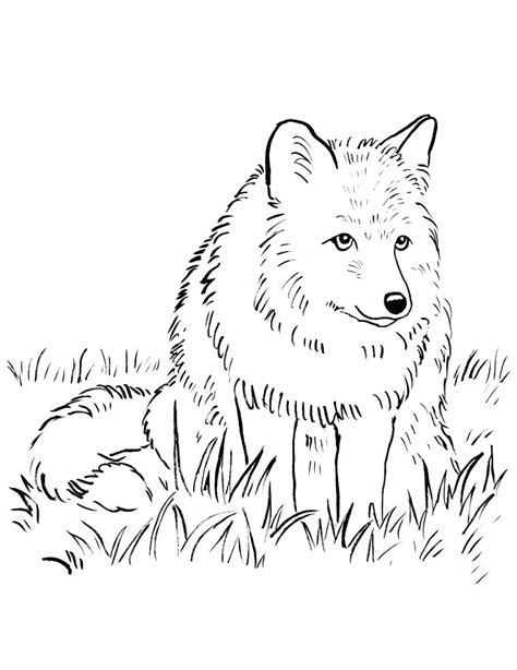 printable wolf coloring pages  getcoloringscom  printable
