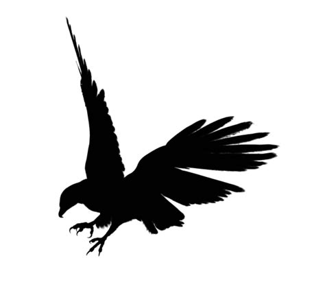 logo  black eagle clip art library