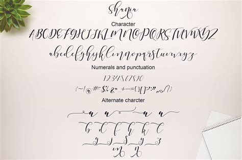 shania script free font ltheme