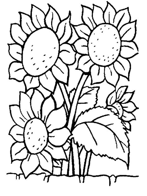 print   common variations   flower coloring pages