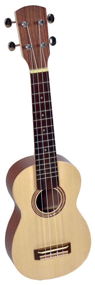 naiuri ukulele balalaika dulcimer psalter domra cobza instrumente muzicale reghin