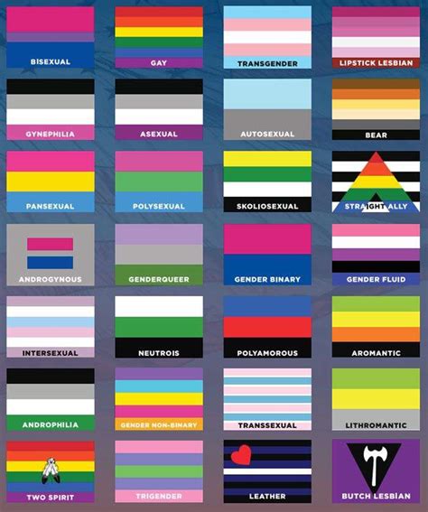 🏳️‍🌈all About Sexualities [explanations Flags] Lgbt Amino