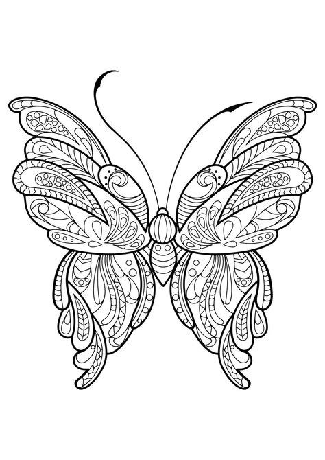 butterflies coloring pages  adults images  pinterest