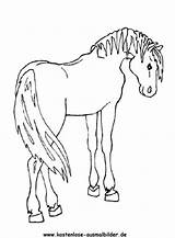 Pferde Pferd Ausmalbild Sattel Ausmalen sketch template