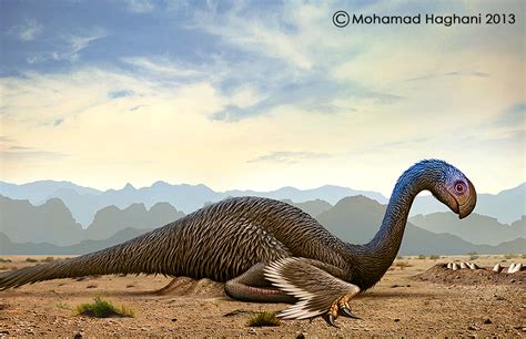 gigantoraptor  haghani  deviantart