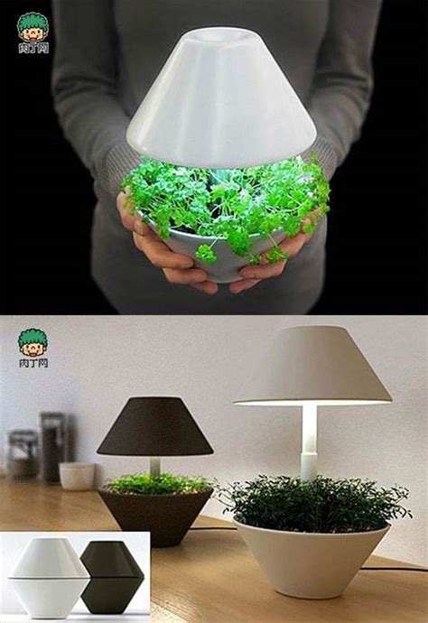 creative plant pot ideas