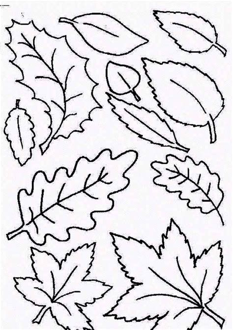 type  fall leaf coloring page netart