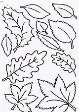 Coloring Leaf Leaves Autumn Pages Fall Printable Type Color Falling Pumpkin Clip Netart Getcolorings Para Print sketch template