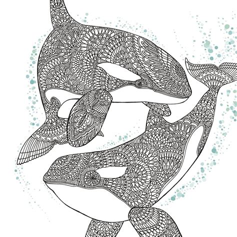 zoom dolphin coloring pages bee coloring pages  adult coloring